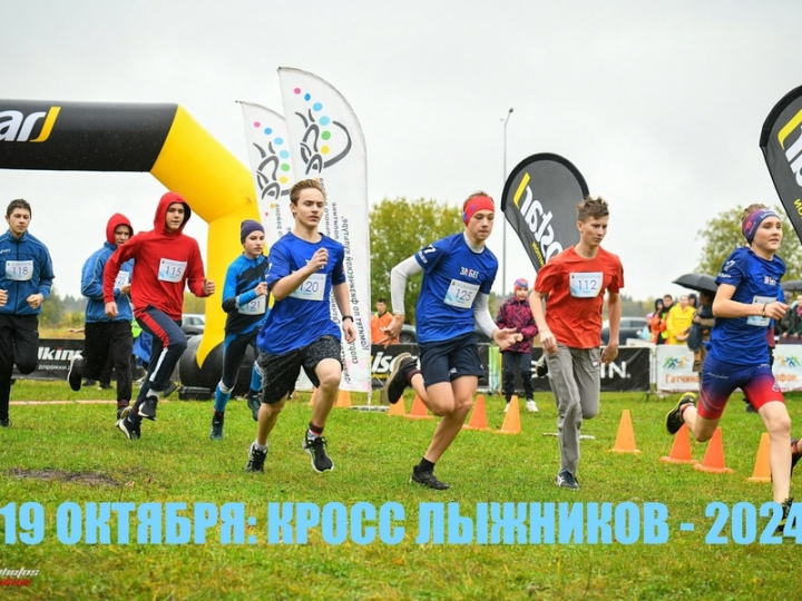 В Гатчине пройдет